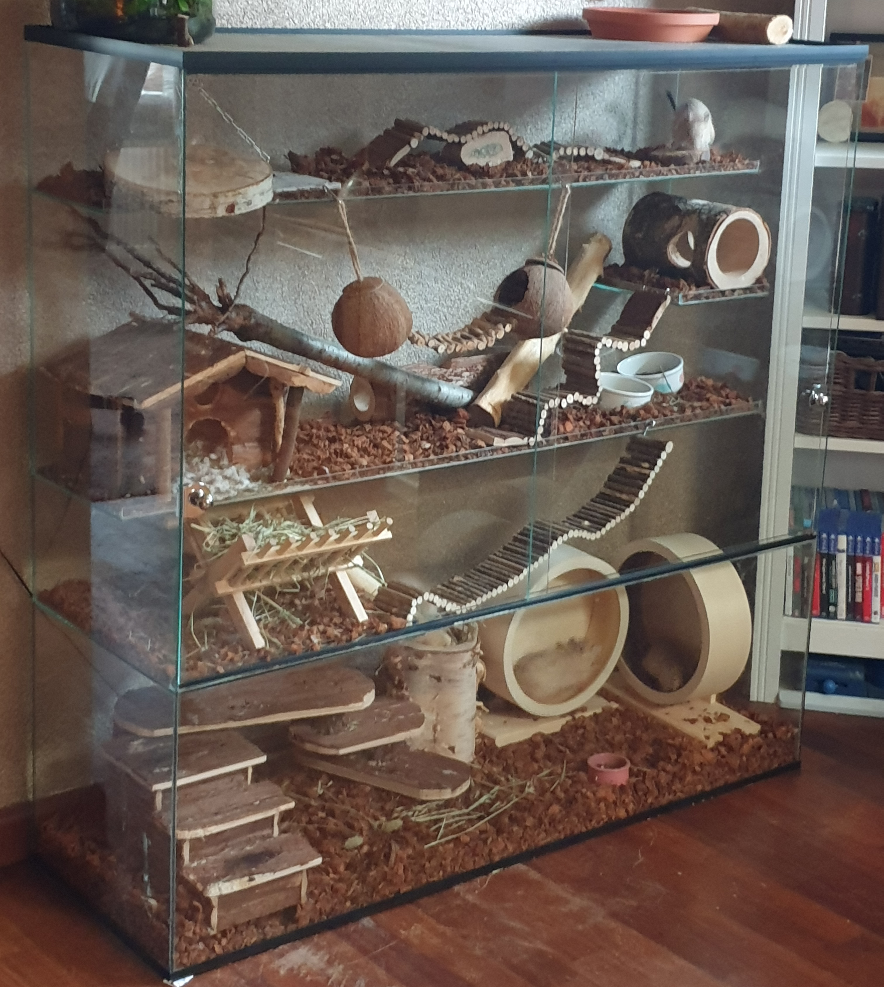 Tunnels en ladders voor Terrarium inrichting